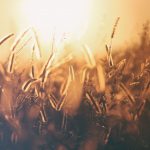 erik-jan-leusink-uQN9KaPTeI4-unsplash